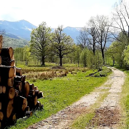 Sasanka Апартаменты